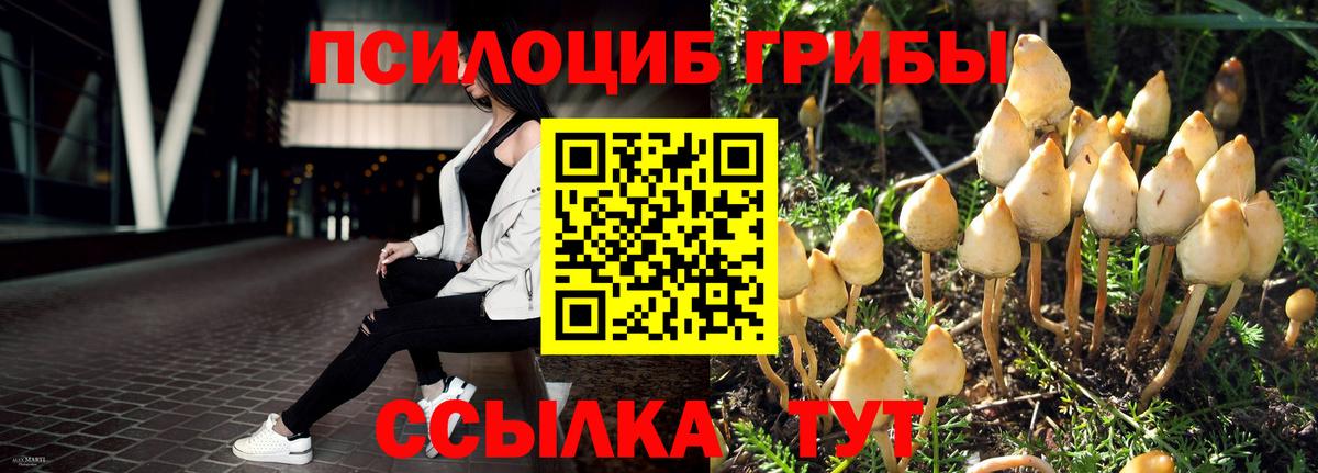 Горячий Ключ  Псилоцибиновые грибы мухоморы  Вход с VPN  Псилоцибиновые грибы мухоморы 