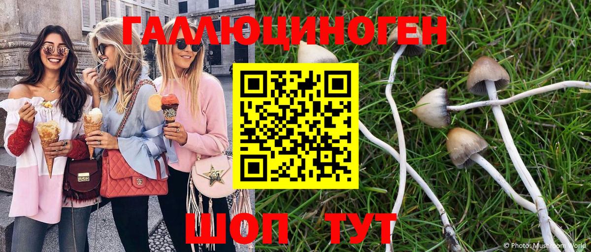 Галлюциногенные грибы мухоморы Горячий Ключ